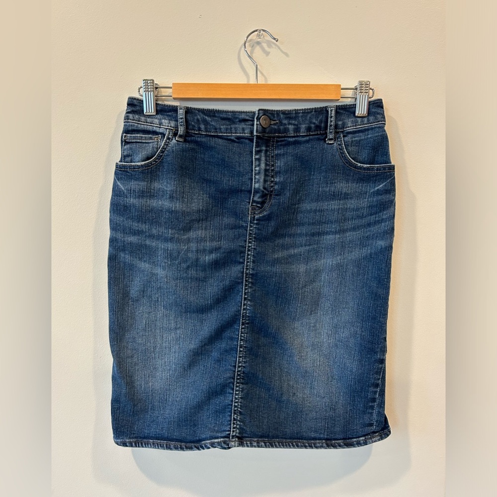 ANTHROPOLOGIE PILCRO AND THE LETTERPRESS denim skirt